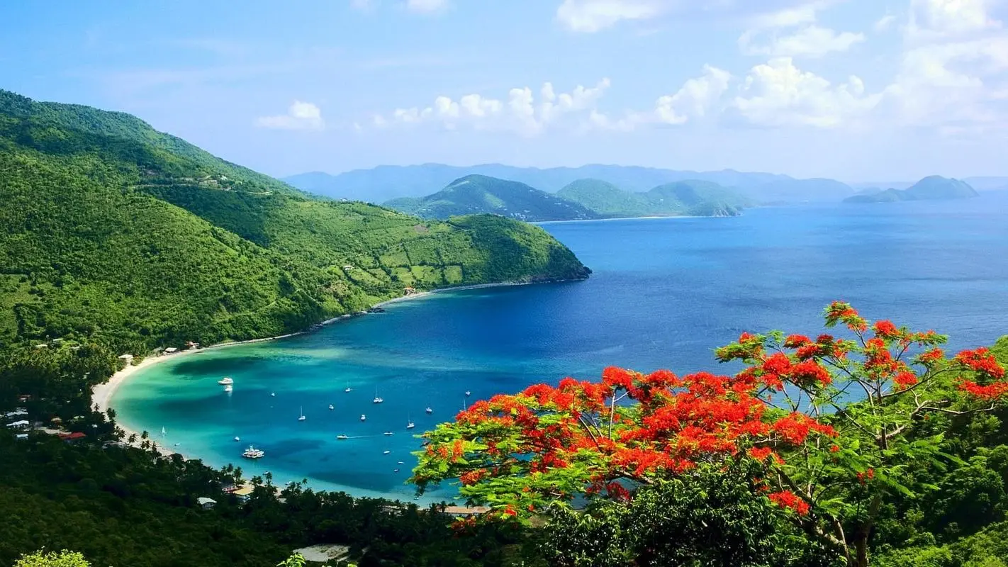 高端高标准智能